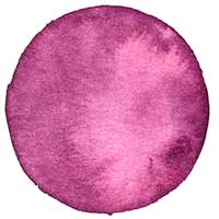 Aquarellkreis beere