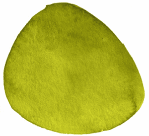 Aquarell maigrün